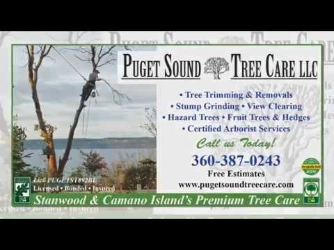 Puget Sound Tree Care